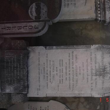 TRILL Stephen 1830-1922 &amp; Emily DURHAM -1911, TRILL Stephan ?  -1895, TRILL Florence Emily 1867-1931