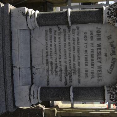 WELLS John Wesley 1841-1890