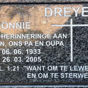 D - Vanne :: Surnames - D