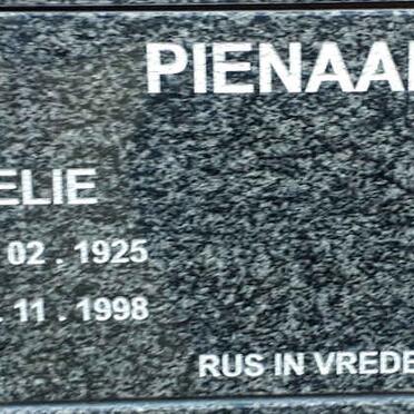 P - Vanne :: Surnames - P