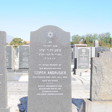 ANDRUSIER Tzipeh -1959