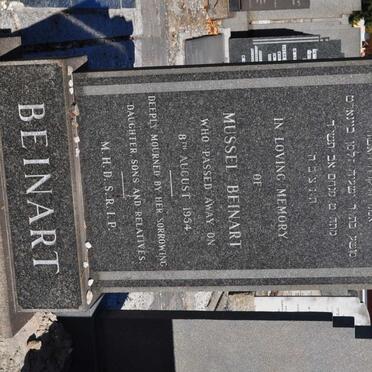 BEINHART Mussel -1954