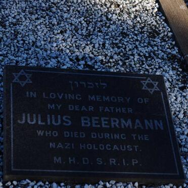 BEERMANN Julius