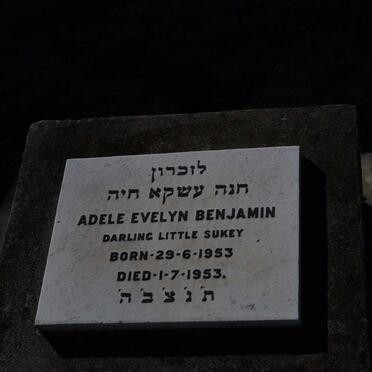 BENJAMIN Adele Evelyn 1953-1953