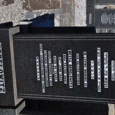 BERELOWITZ Nessa -1980