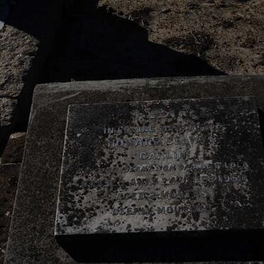 CARLIN Howard Selwyn -1950