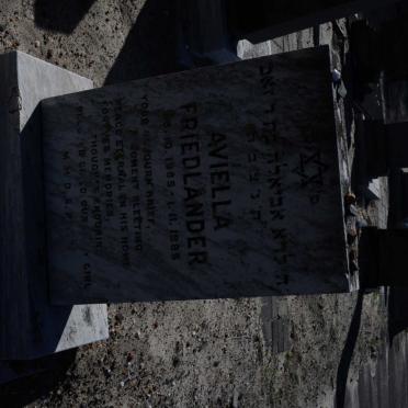 FRIEDLANDER Aviella 1985-1985
