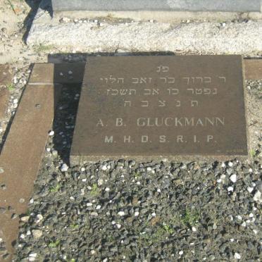 GLUCKMAN A.B.