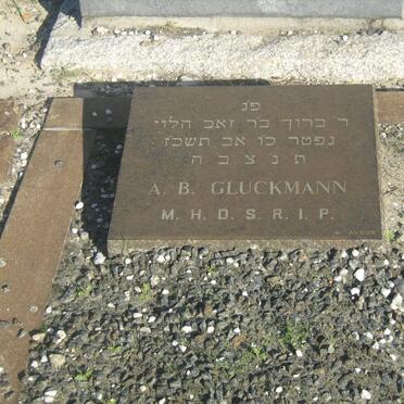 GLUCKMAN A.B.
