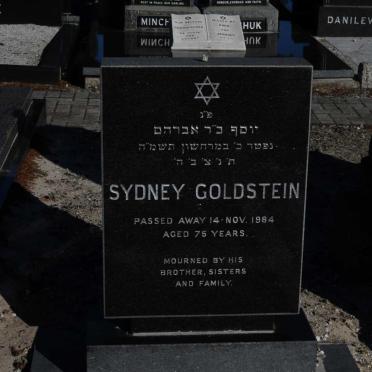 GOLDSTEIN Sydney -1984