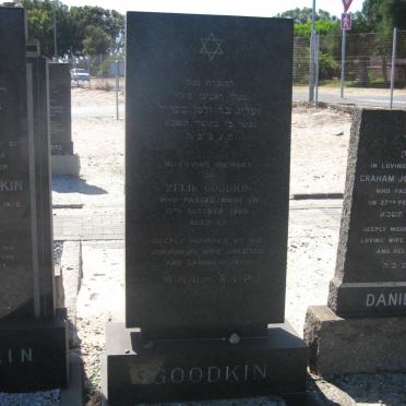 GOODKIN Zelik -1960