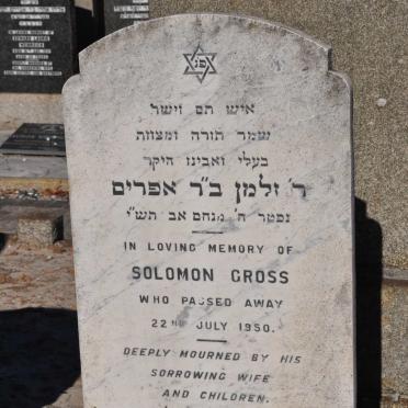 GROSS Solomon -1950