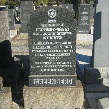 GREENBERG Rachel -1955