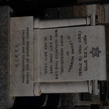 HERSHBAUM Mary -1956