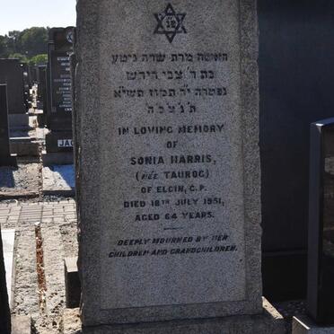 HARRIS Sonia nee TAUROG -1951