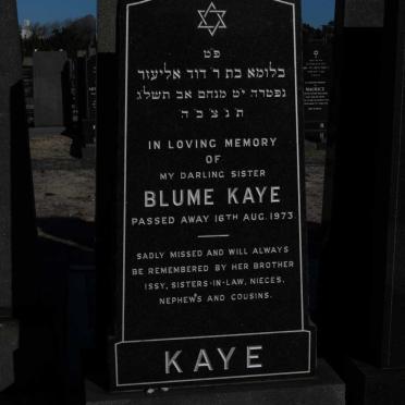 KAYE Blume -1973