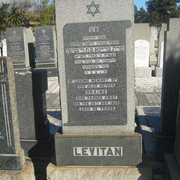 Le - Surnames starting with the letters Le