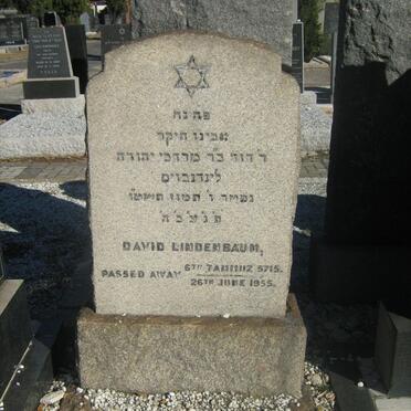 LINDEBAUM David -1955