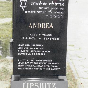 LIPSHITZ Andrea 1972-1981