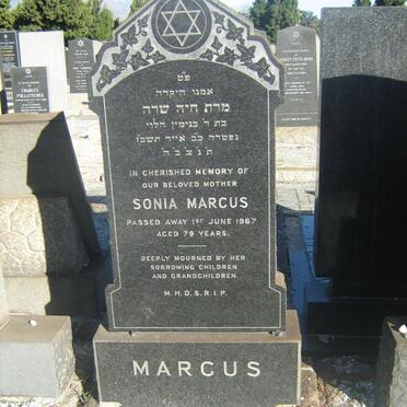 MARCUS Sonia -1967