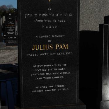 PAM Julius -1973