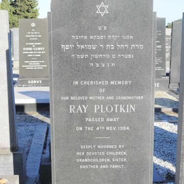 PLOTKIN Ray -1984