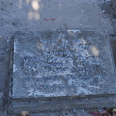 P - Vanne :: Surnames - P