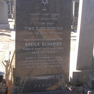 SCHAPIRO Sheila -1962