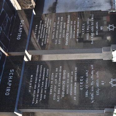 SCHAPIRO David -1953 &amp; Sylvia SINGER -1975