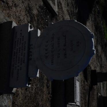 SCHER Hilana Freyde -1954