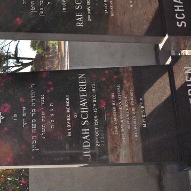 SCHAVERIEN Judah 1905-1972