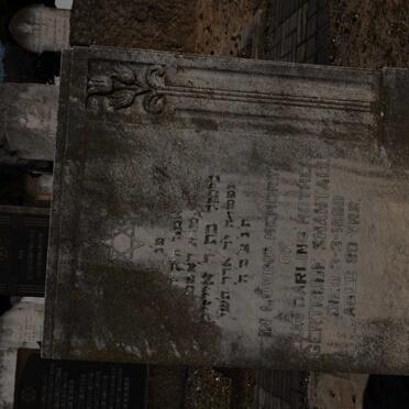 SHANTALL Gertrude -1950