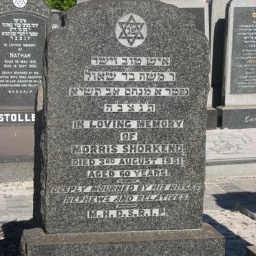 SHORKEND Morris -1951