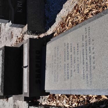 SHAPIRO Bertha -1957