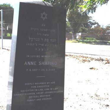 SHAPIRO Anne 1917-2003