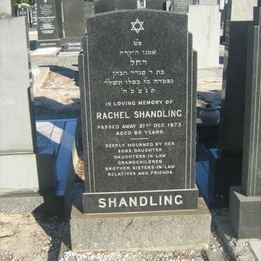 SHANDLING Rachel -1973