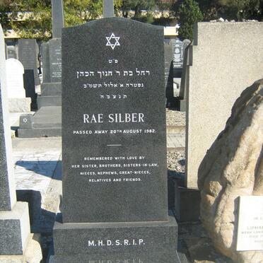 SILBER Rae -1982