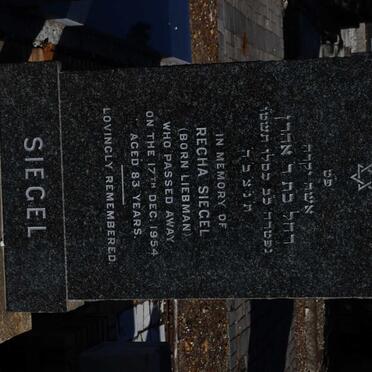 SIEGEL Recha nee LIEBMAN -1954