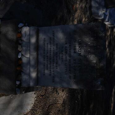 STEIN Dardon 1964-1967