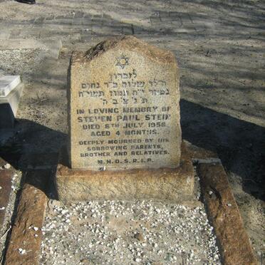 STEIN Steven Paul -1958