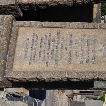 TENNENBAUM Beatrice Amelia -1952