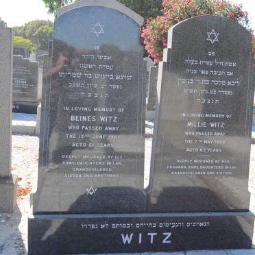 WITZ Beines -1962 &amp; Millie -1959