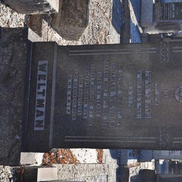 WELTMAN Charles -1950