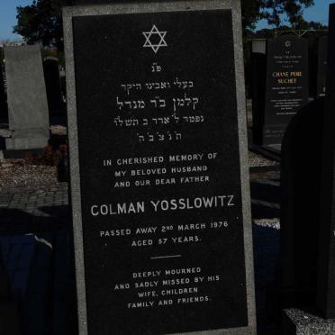 YOSSLOWITZ Colman -1976