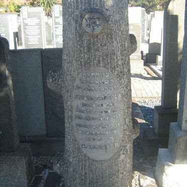 ZOCCOLA Sylvia nee COHEN 1911-1950