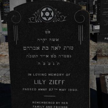 ZIEFF Lily -1968