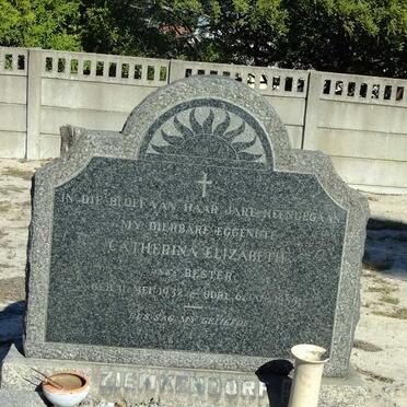 Z - Surnames :: Vanne - Z