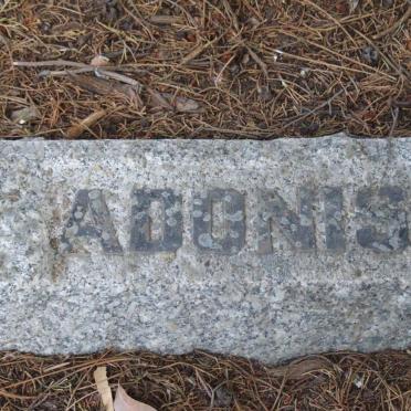 ADONIS