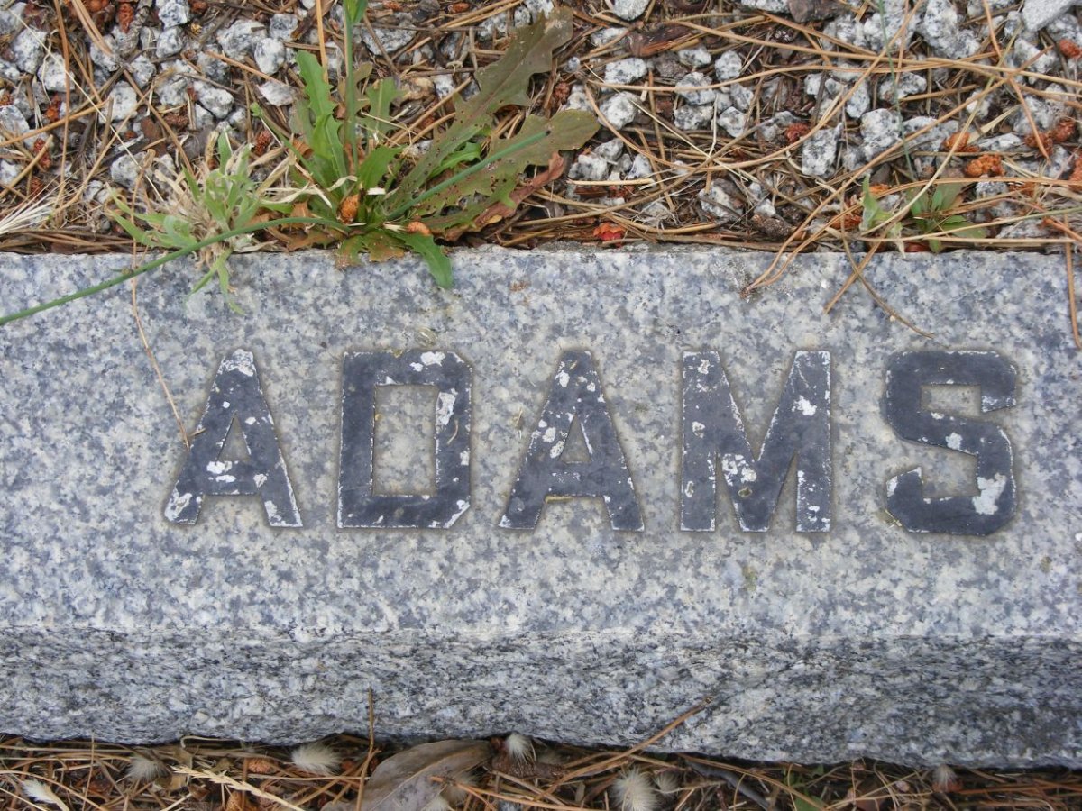 ADAMS