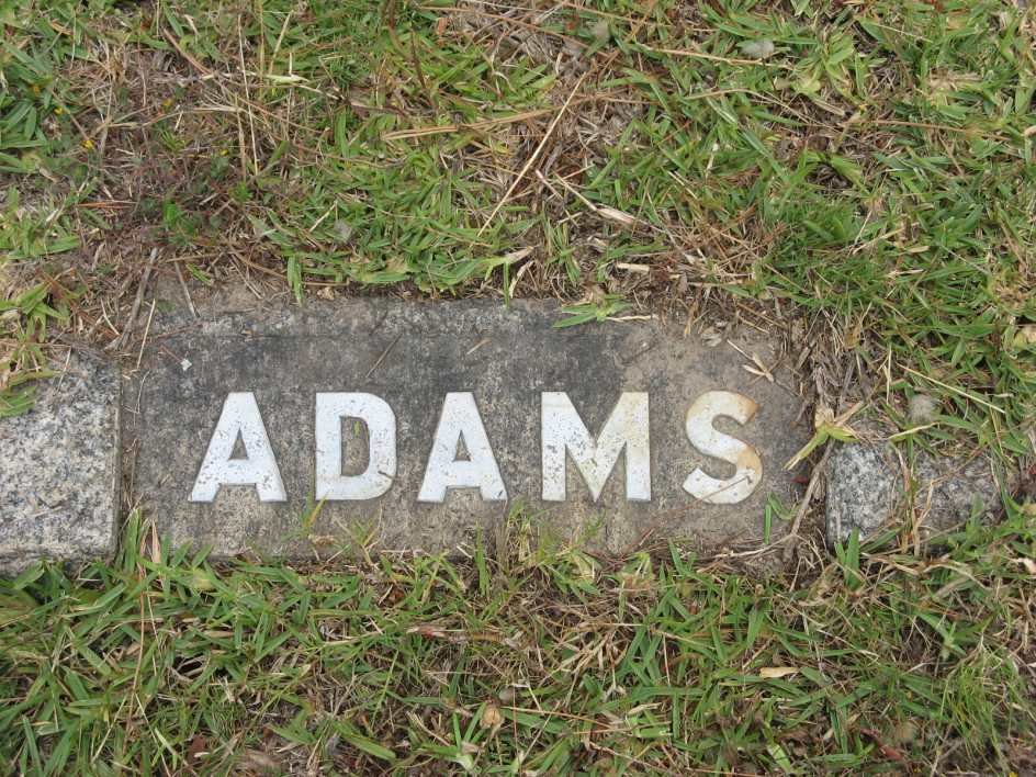 ADAMS